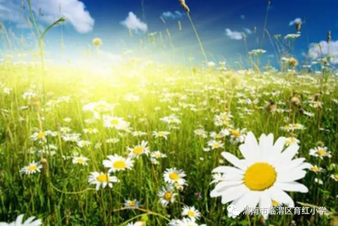 网络教学有情怀 家庭学习促进提升