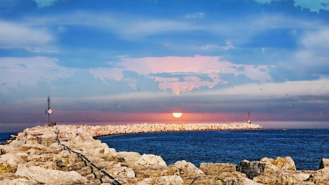 好玩游戏推荐没有实名认证女生_好玩游戏推荐没有实名认证